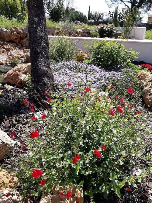 Maison 2 Ou 4 Personnes Jardin Parking Les Amandiers Lorgues Exterior foto